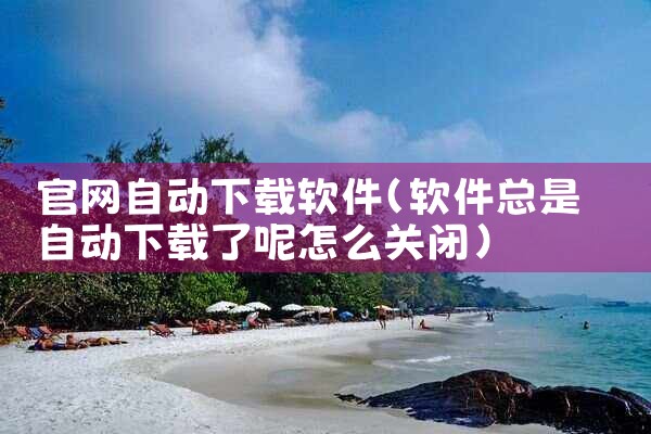 官网自动下载软件