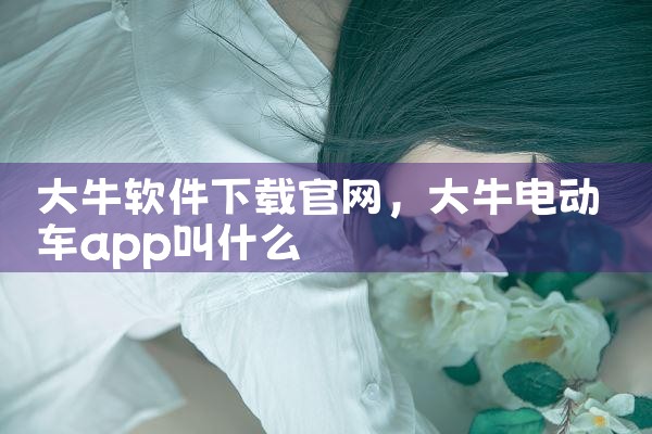 大牛软件下载官网