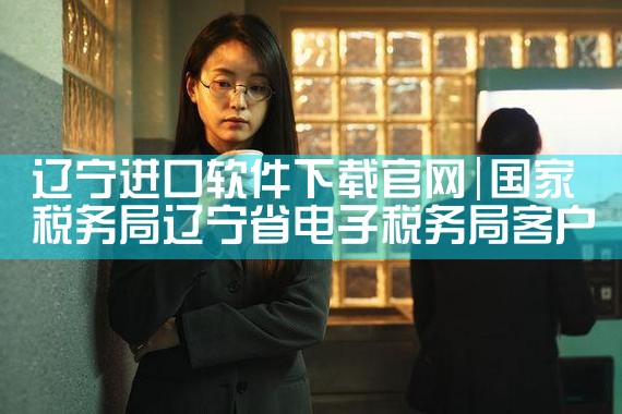 辽宁进口软件下载官网