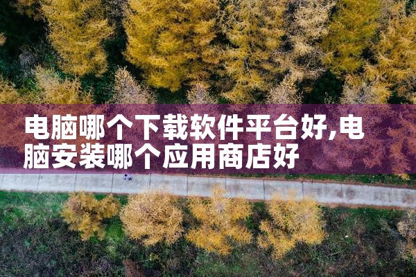 电脑哪个下载软件平台好