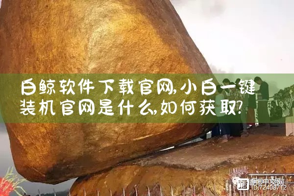 米六自带软件下载官网