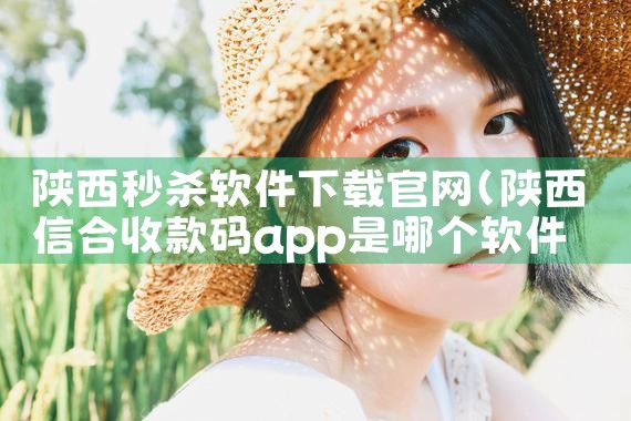 陕西秒杀软件下载官网