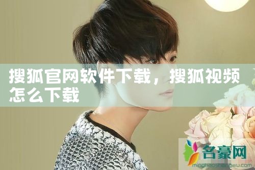 搜狐官网软件下载